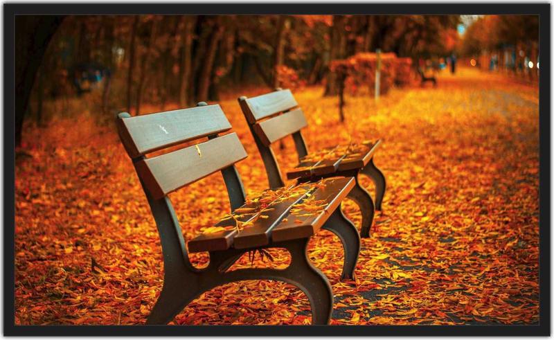 Quadro Decorativo Paisagem Banco Folhas Com Moldura 1 metro x 60 cm TT12 Menor preço em Quadro Decorativo Paisagem Banco Folhas Com Moldura 1 metro x 60 cm TT12
