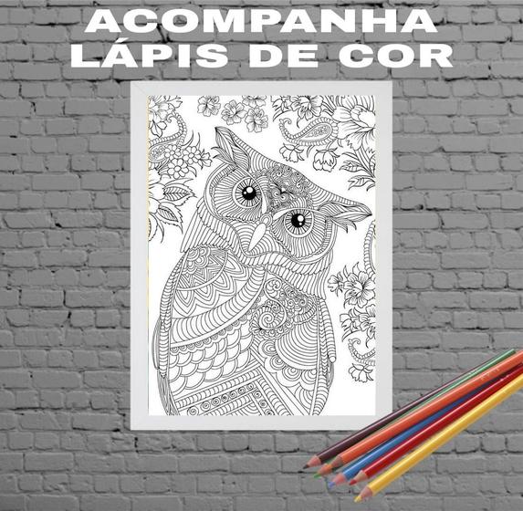 Imagem de Quadro Decorativo Para Colorir Coruja 24x18cm - com vidro