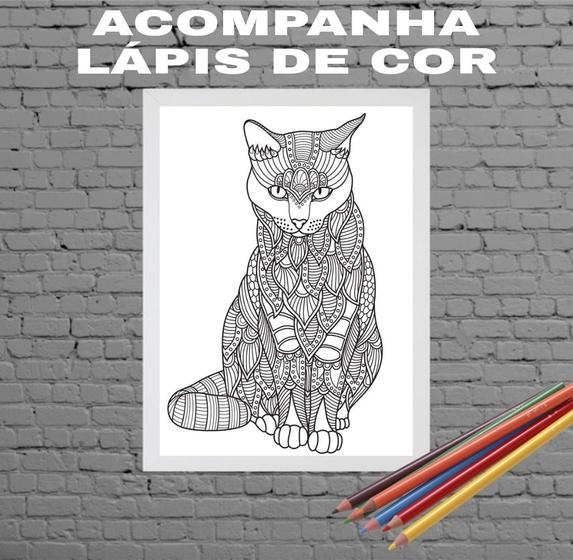 Imagem de Quadro Decorativo Para Colorir Gato 24x18cm - com vidro