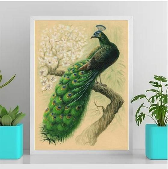 Imagem de Quadro Decorativo Pássaro Pavão 24X18Cm - Com Vidro Preta