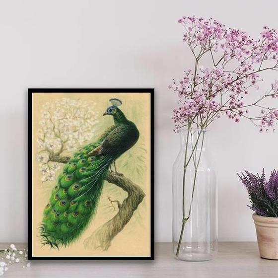 Imagem de Quadro Decorativo Pássaro Pavão 24X18Cm - Com Vidro Preta