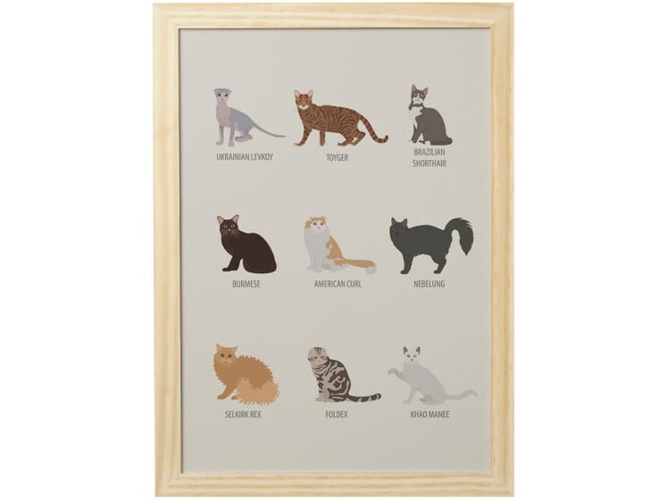 Imagem de Quadro Decorativo Pet Lovers Nomes Gatos