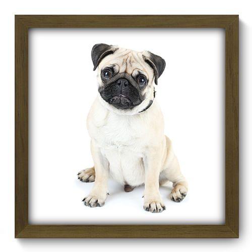 Imagem de Quadro Decorativo - Pug - 33cm x 33cm - 097qdsm