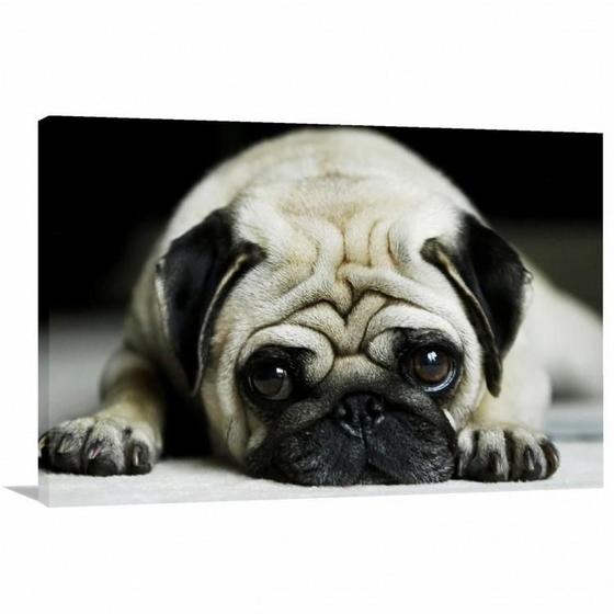 Imagem de Quadro decorativo Pug Cachorro com Tela de Tecido