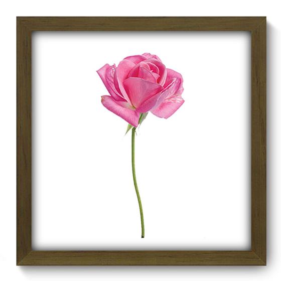 Imagem de Quadro Decorativo - Rosa - 33cm x 33cm - 083qdfm