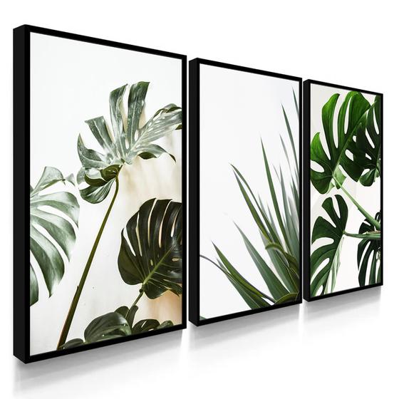 Imagem de Quadro Decorativo Sala Quarto Costela de Adão Plantas