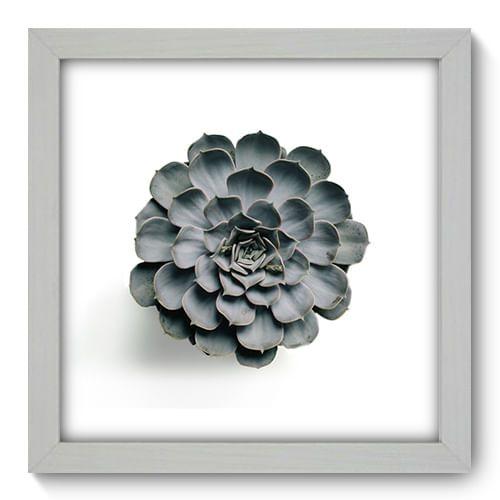 Imagem de Quadro Decorativo - Suculenta - 22cm x 22cm - 077qndab