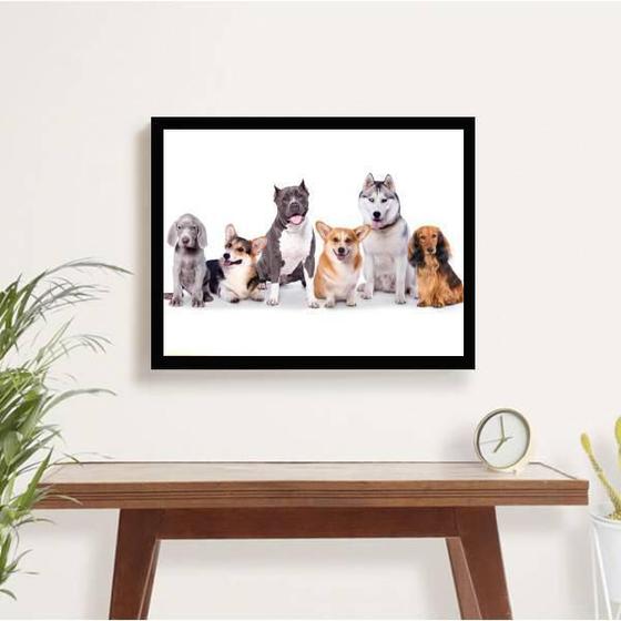 Imagem de Quadro Decorativo Turma Pet 34X23Cm - Moldura Branca