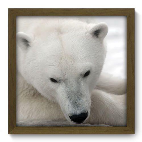 Quadro Decorativo - Urso Polar - 33cm x 33cm - 015qdsm Menor preço em Quadro Decorativo - Urso Polar - 33cm x 33cm - 015qdsm