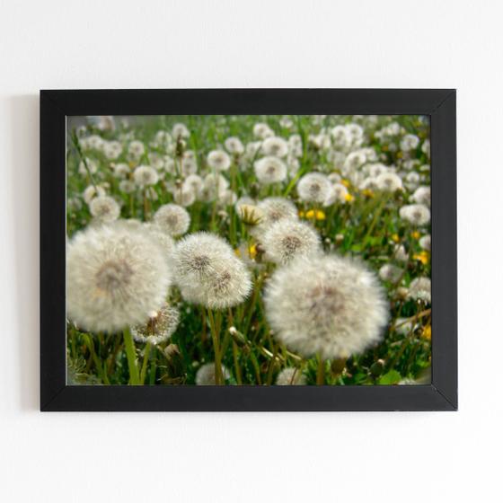 Imagem de Quadro Dente de Leão Flor Jardim Moldura Preta 60x40cm