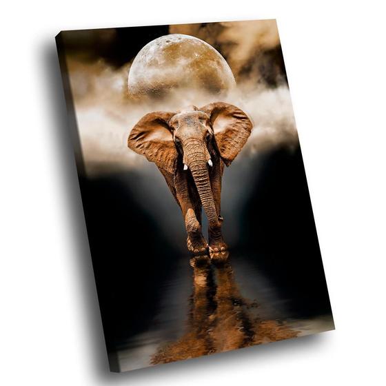 Imagem de Quadro Elefante Luar -- BR ARTES
