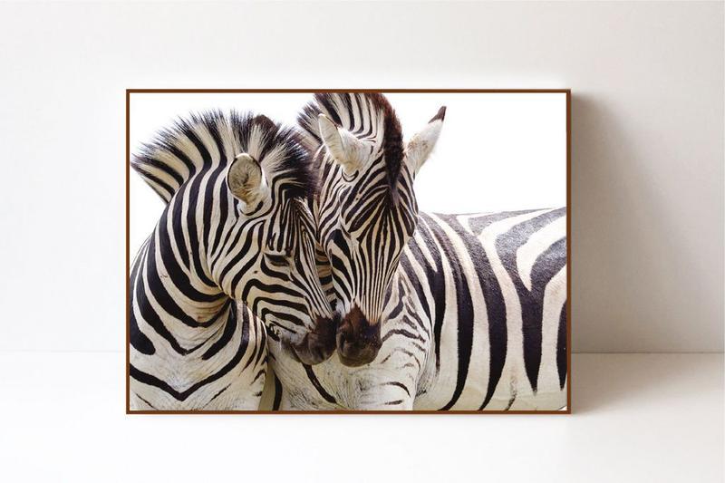 Imagem de Quadro em Canvas Zebra