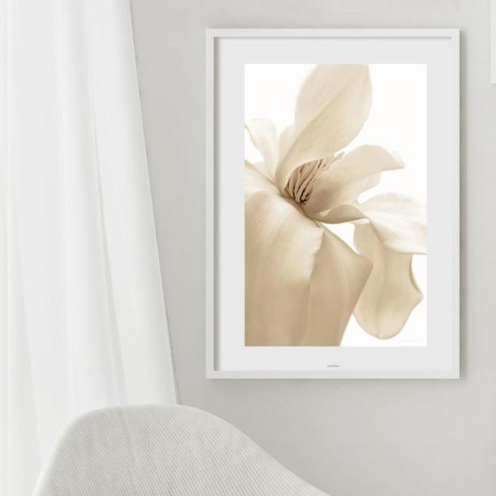 Imagem de Quadro Flor Branco Gelo - 60x48cm