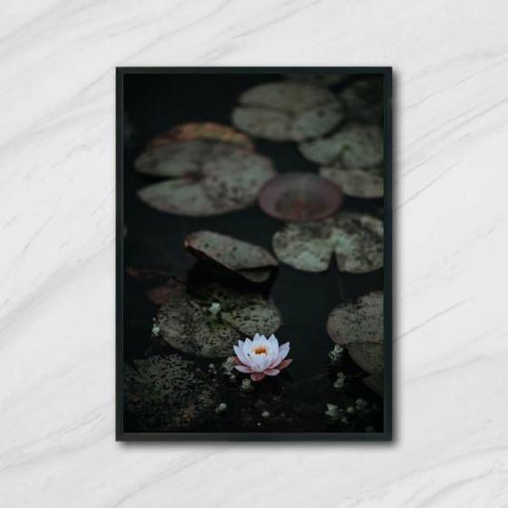 Imagem de Quadro Flor de Lotus 45x34cm - com vidro