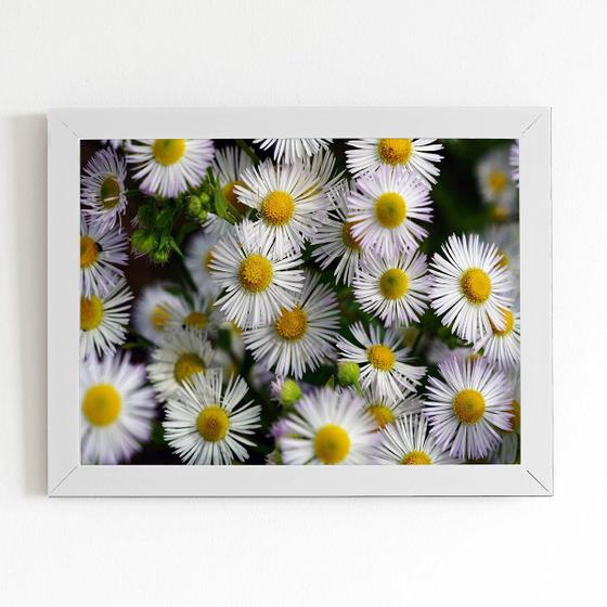 Imagem de Quadro Flores Margaridas Brancas Moldura Branca 60x40cm