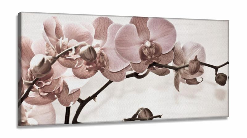 Imagem de Quadro Flores Orquídeas Para Sala Recepção em Tecido Canvas 130x60