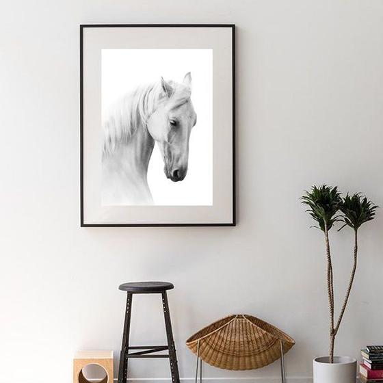 Imagem de Quadro Fotografia Cavalo Branco - 60x48cm