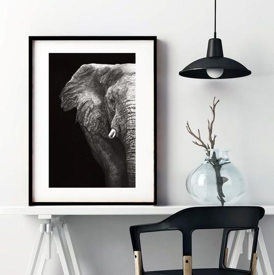 Imagem de Quadro Fotografia Elefante Metade - 60x48cm