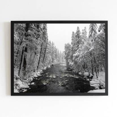 Imagem de Quadro Fotografia Floresta com Neve 45x34cm - com vidro