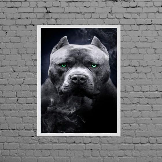 Imagem de Quadro Fotografia Pitbull Olhos Verdes 24x18cm - com vidro