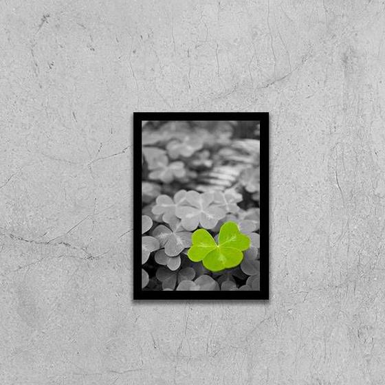 Imagem de Quadro Fotografia Trevo 24x18cm - com vidro