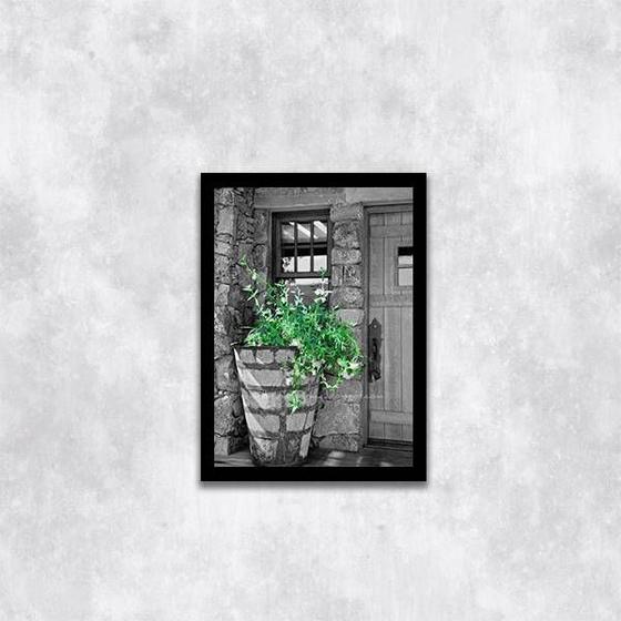 Imagem de Quadro Fotografia Vaso com Plantas 24x18cm - com vidro