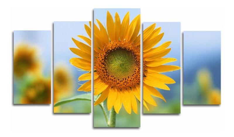 Imagem de Quadro Girasol Floral Campo Céu Azul Sala Quarto Copa