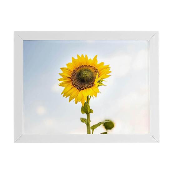 Imagem de Quadro Girassol Flor Fotografia Céu Moldura Branca 60X40Cm