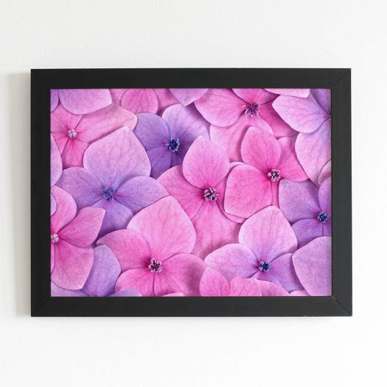 Imagem de Quadro Hortênsias Roxas e Rosas Foto Moldura Preta 60x40cm