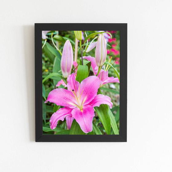 Imagem de Quadro Lilium Brownii Rosa Flores Moldura Preta 60x40cm