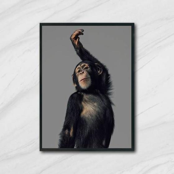 Quadro Macaco Performance 33x24cm - com vidro - Quadros On-line Imagem de Quadro Macaco Performance 33x24cm - com vidro