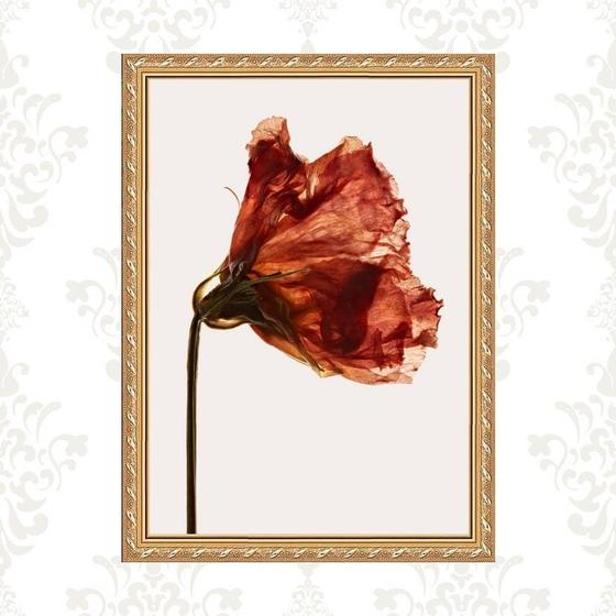 Imagem de Quadro Moldura Dourada Flor Alaranjada 33x24cm