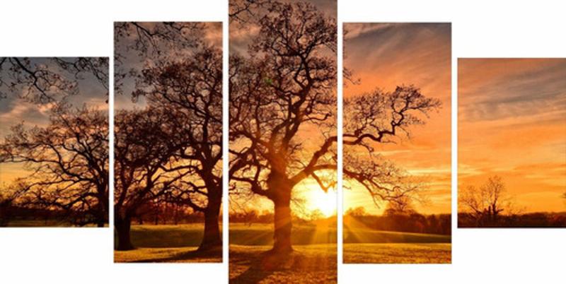 Imagem de Quadro Mosaico 5 Peças Nascer Do Sol Paisagens Naturezas S