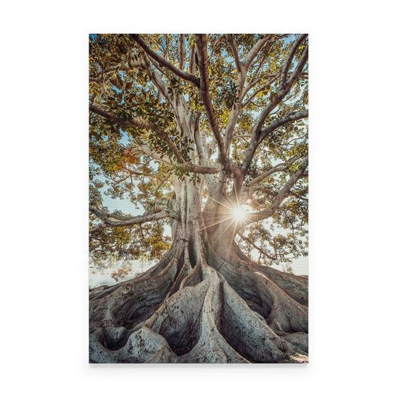 Imagem de Quadro Paisagem Árvore Com Raízes Expostas Moderno Natureza Para Sala Quarto Canvas Grande - Bimper