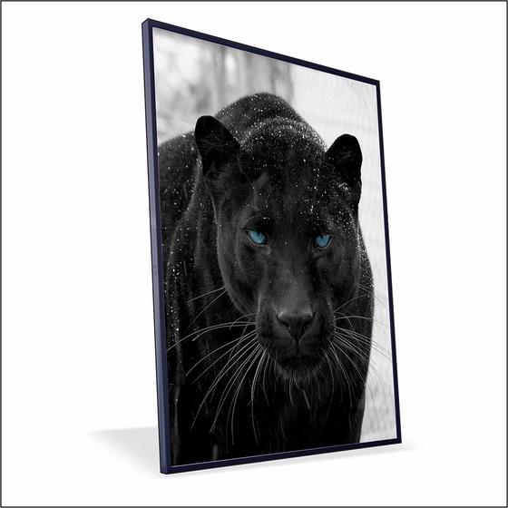 Imagem de Quadro Pantera Negra Canvas Com Vidro