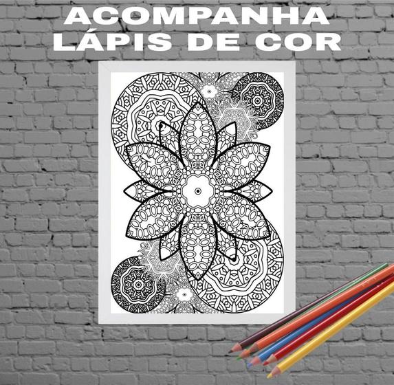 Imagem de Quadro Para Colorir Mandala Floral 24x18cm