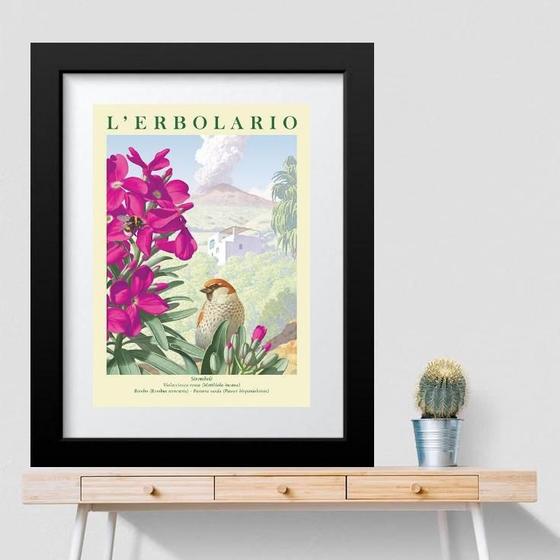 Imagem de Quadro Passarinho Com Flor Rosa - 60X48Cm