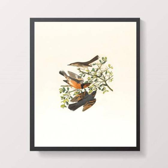 Imagem de Quadro Passarinhos 33x24cm - com vidro