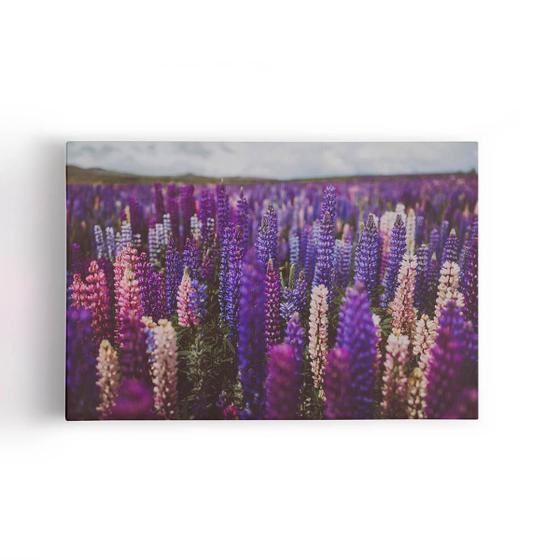 Imagem de Quadro Plantação Roxa Tremoço Lupinus Flor Canvas 60X40Cm