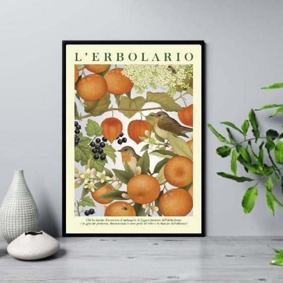 Imagem de Quadro Poster Passarinhos Com Frutas 24X18Cm - Com Vidro