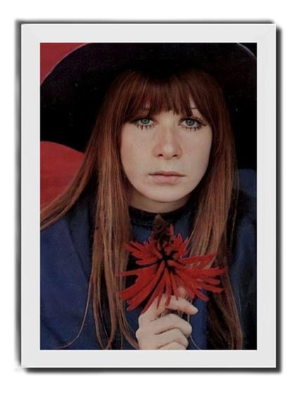 Imagem de Quadro Rita Lee Rainha Do Rock Brasileiro Banda Os Mutantes