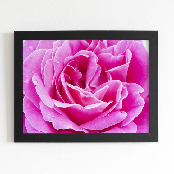 Imagem de Quadro Rosa Flor Fotografia em Foco Moldura Preta 60x40cm