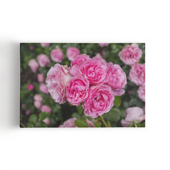 Imagem de Quadro Rosa Flores Planta Natureza Foto Canvas 60x40cm