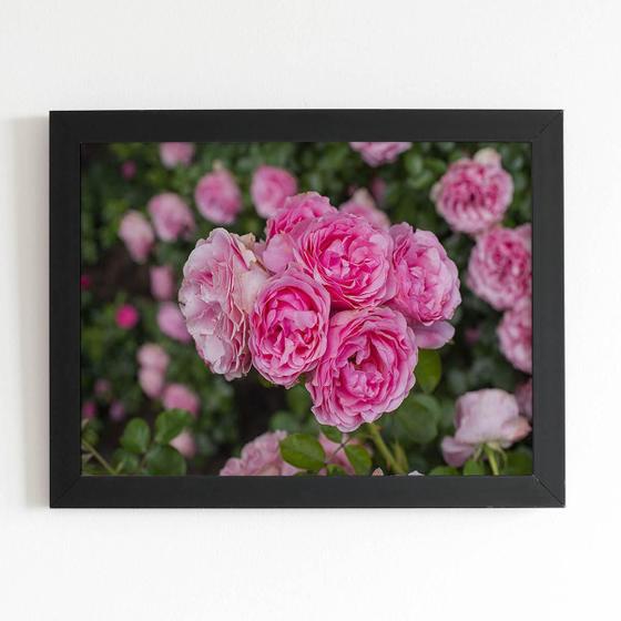 Imagem de Quadro Rosa Flores Planta Natureza Moldura Preta 60X40Cm