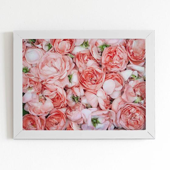 Imagem de Quadro Rosas Flores Planta Decorativo Moldura Branca 60x40cm