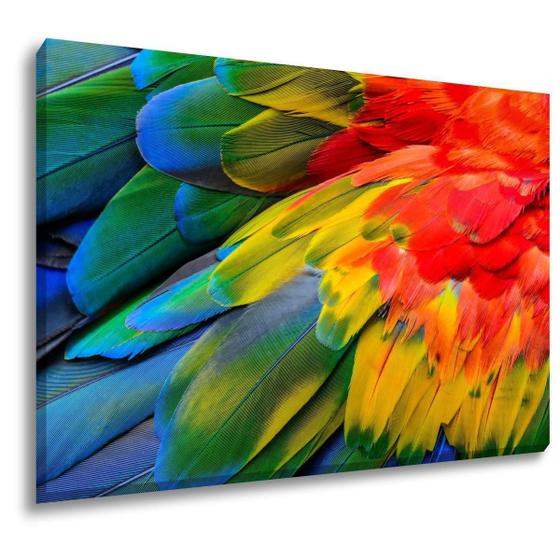 Quadro Sala Tela Canvas Grande Penas Arara 60X90 Menor preço em Quadro Sala Tela Canvas Grande Penas Arara 60X90