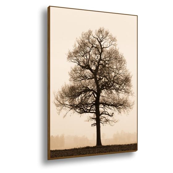 quadro tela canvas moldura árvore seca 90x60 Menor preço em quadro tela canvas moldura árvore seca 90x60