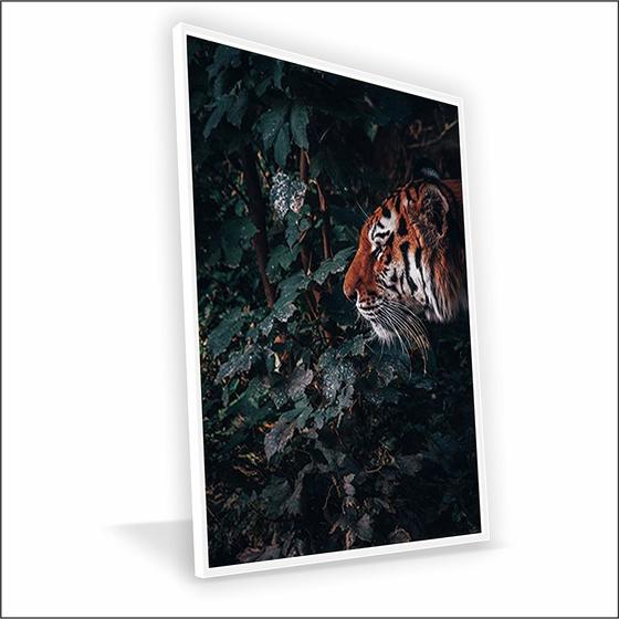 Imagem de Quadro Tigre Vinil Com Vidro