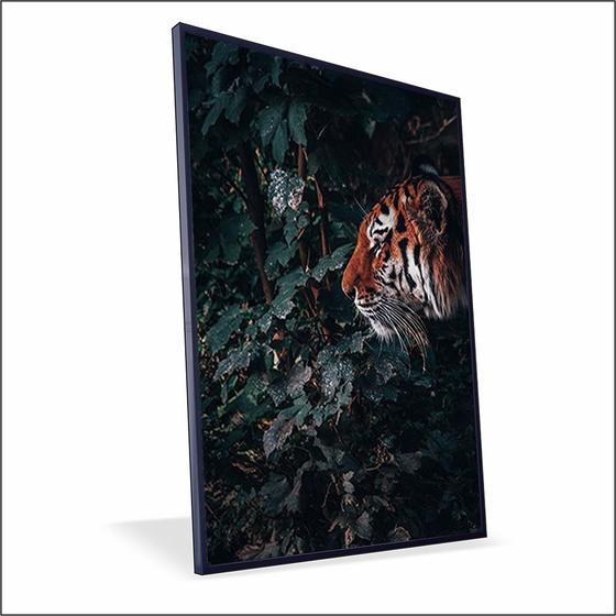 Imagem de Quadro Tigre Vinil Sem Vidro