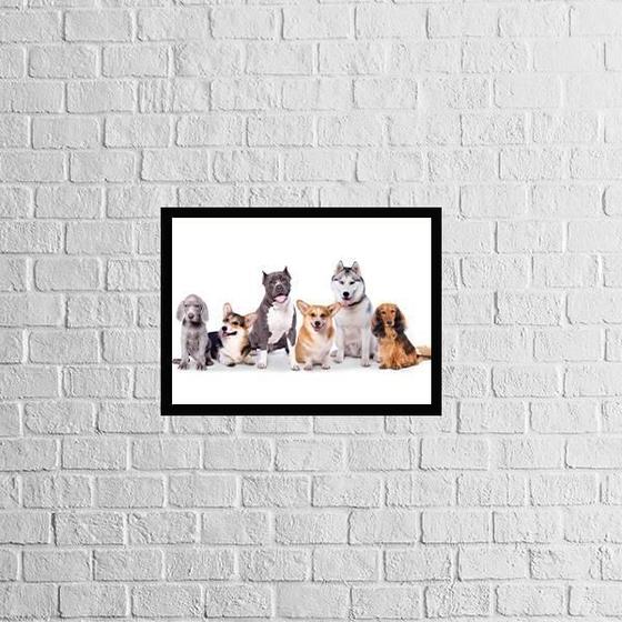 Imagem de Quadro Turma Pet 33X24Cm - Com Vidro Moldura Preta